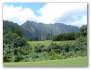 koolau14.jpg