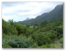 koolau17.jpg